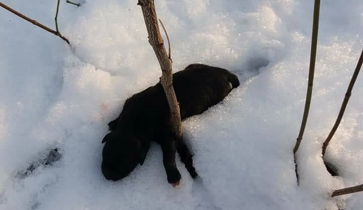 FOTO: Policija zaustavlja KZŽ