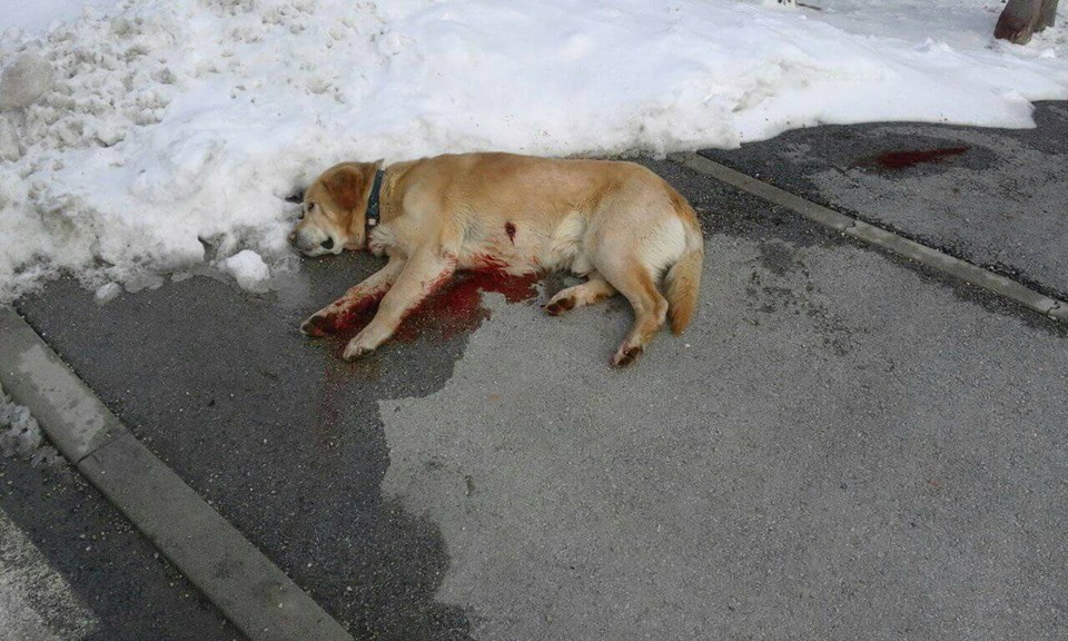 FOTO: Policija zaustavlja Krapinsko - zagorska županija